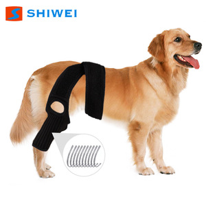 Shiwei Dog Joint <b>Brace</b> Black Xs S M L <b>Knee</b> <b>Support</b> For Pet Injury Protection Four Seasons Nylon Material - Product Image 2