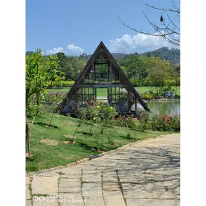 IGreen vendita calda in acciaio zincato all'aperto giardino personalizzato cupola geodetica serra coltiva tenda in vendita