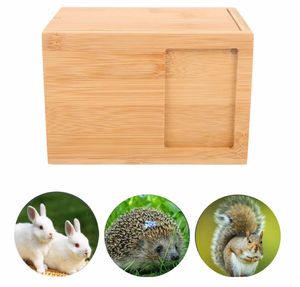 מפעל חם מוכר איכותי יוצא דופן עץ לחיות מחמד אבן עץ באיכות גבוהה עבור שריפת חתול - Product Image 5