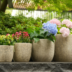 Pots de fleurs modernes classiques en céramique émaillée durables avec drainage pour plantes d'intérieur et bonsaïs - Vente en gros pour usage au sol en jardin - Product Image 1