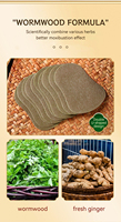 Chine Fournisseur Santé Pied Patch Absinthe Gingembre Detox Paster Aucun Effets Secondaires