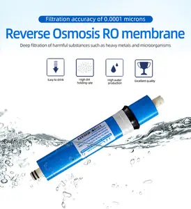 Harga Yang Menguntungkan Kinerja Tinggi Membrane Membran Osmosis Terbalik RO