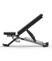 POWER TIGER Haltère d'haltérophilie AB-5300 Banc d'haltères réglable Banc de musculation multifonctionnel robuste et réglable