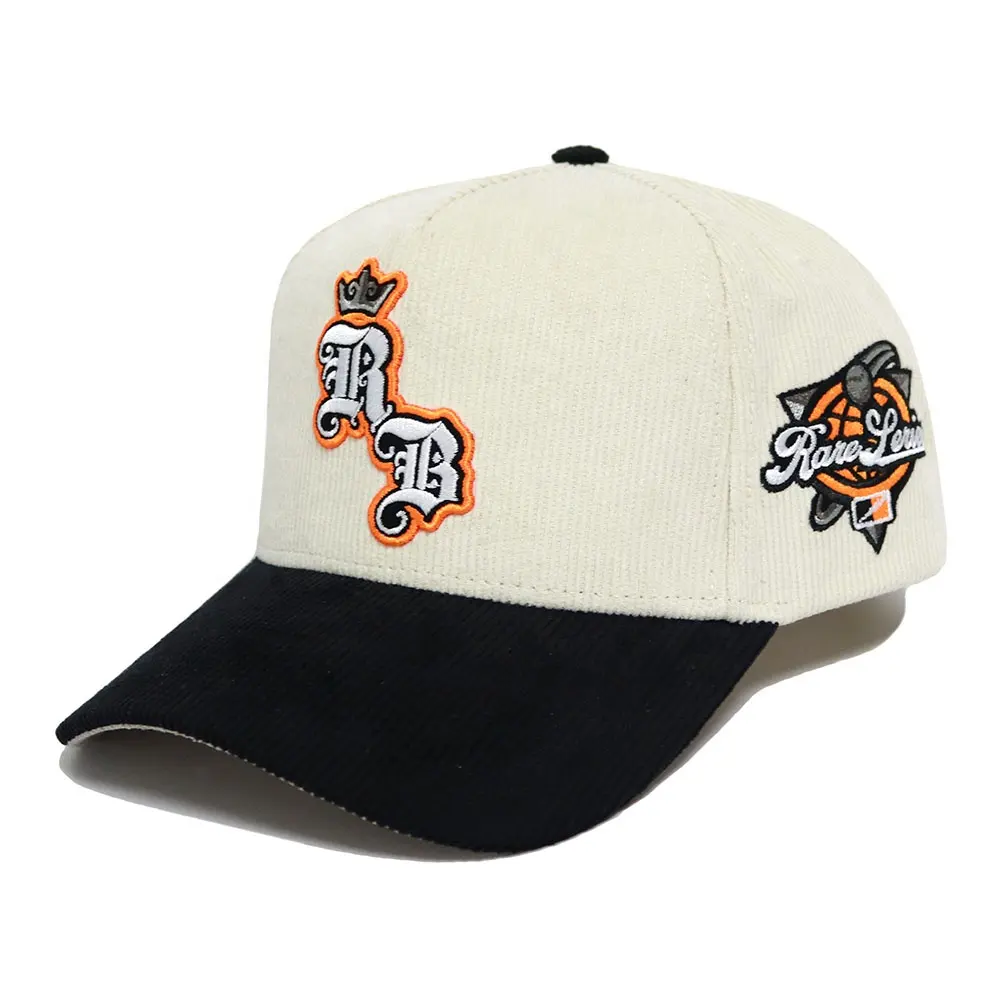 Direct Factory-gorra de béisbol de PANA con logotipo bordado 3D, gorro deportivo de algodón con logotipo bordado, 5 paneles