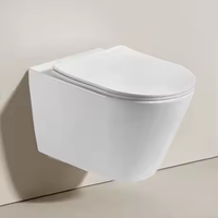 Salle de bain WC mural en céramique Toilette sans réservoir Pulse No Cittern Wash Down P Trap WC Tornado Rinçage Cupc Toilette