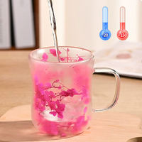 Gelas Kaca Borosilikat Tiup Tangan Dinding Ganda Tahan Panas Kreatif dengan Bunga Kering 250ml Aman untuk Mesin Cuci Piring untuk Kopi, Susu, Teh