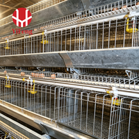Cage à poules pondeuses de type A, alimentation et abreuvement automatiques, collecte des œufs, convoyeur de fumier, abreuvoir à tétine, acier galvanisé, 4 niveaux, pour volailles