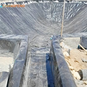Géomembrane de revêtement d'étang en HDPE imperméable de 0.6mm pour le lac de <span class=keywords><strong>bâche</strong></span> de crevette d'aquarium d'aquaculture aux Philippines - Product Image 1