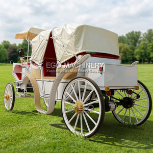 Charrette de tourisme électrique sans chevaux, chariot de tourisme personnalisé, fabricant de charrettes de tourisme à vendre - Product Image 6