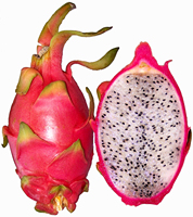 Eersteklas Premium Kwaliteit Verse Dragon Fruit Ninh Thuan Vietnam Exportklaar SUNRISE INS 60 Dagen Houdbaarheid WhatsApp Contact