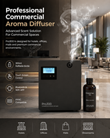 Diffuseur de parfum professionnel pour la maison, 300 ml, pour hall d'hôtel, électrique, sans eau, OEM/ODM, machine à parfum de luxe, directement de l'usine