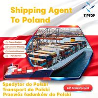 Agente de Transporte Marítimo, Polonia, Puerto de Szczecin, Transitario DDP, Transporte de Carga, Seguimiento de Envíos