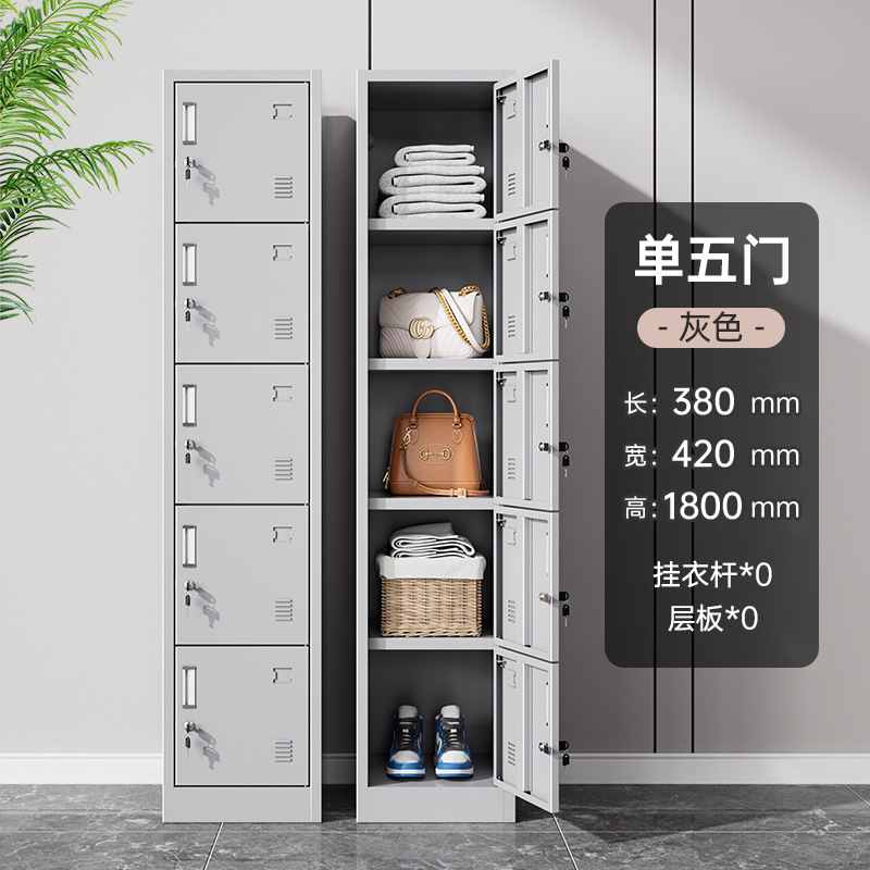 Casier simple à cinq portes [gris et blanc]