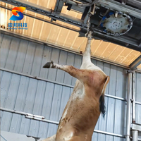 Machines d'abattage de bétail, équipement d'abattoir pour le traitement automatique du bétail
