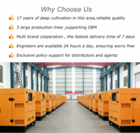 Générateurs diesel super silencieux 100 kVA 150 kVA 200 kVA, faible bruit, monophasé triphasé 125 kW 150 kW 200 kW, générateurs diesel portables