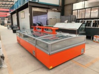Vitrine Réfrigérée Commerciale pour Aliments Surgelés, Congélateur Combiné pour Supermarché