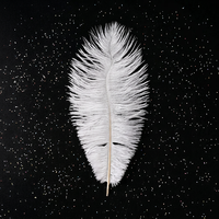 Plumes d'autruche blanches teintées de 30-35 cm en gros pour fêtes, carnavals, bricolage, artisanat, vêtements et décoration