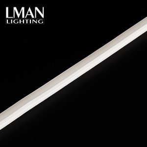 Structure de pliage supérieure Résistante au froid/à la chaleur 10*10mm IP67 Extrusion de silicone DC24V Lumière néon LED - Product Image 5