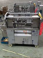 Volledig automatische suikerrietenschilmachine, commercieel elektrisch apparaat voor het verwijderen van suikerrietenschil, snijden en geïntegreerd reinigen