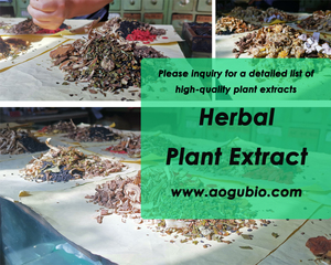 高品質のヘンプシードプロテインパウダー純粋な天然ヘンプシードエキス100% 有機ヘンプシードパウダー - Product Image 5