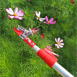 กรรไกรตัดกิ่งไม้แบบยืดหดได้ พรีเมียม 2.3-4 เมตร พร้อมที่เก็บผลไม้ ใบมีดเหล็กคาร์บอนสูงสีแดง สำหรับเก็บลำไย แอปเปิ้ล ลูกพลับ - Product Image 2