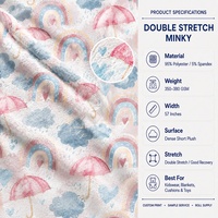 Tissu en peluche doux arc-en-ciel imprimé numériquement, tissu minky double extensible personnalisé, vente en gros pour les couvertures et jouets pour enfants