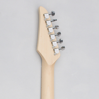 China String Instruments Electric Guitar for Professional Lead Guitar 6 String Electric Guitar for Sale