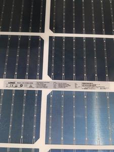 Panneau solaire Longi Solar Lr4-72hbd 440w 450w 455w 460w 470W pour projet de serre - Product Image 4