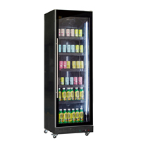 Réfrigérateur à boissons de 620 litres, armoire à boissons froides, équipement de bar de terrain, réfrigérateur commercial pour spiritueux