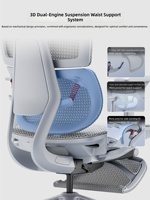 Chaise de bureau ergonomique Woshi en maille respirante, réglable en hauteur, pivotante, pour ordinateur, bureau, étudiant, salle d'étude, travail