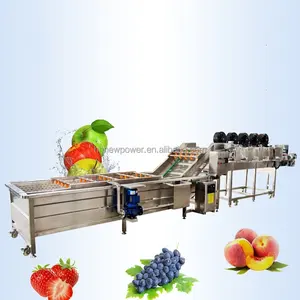 Wholesale Price Commercial Multi-function Fruit Meat Washing Cabbage Leafy Vegetables Melon Process Bubble Washer Machine