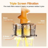 BPA-vrije grote opening slowjuicer voor sinaasappels en ander fruit, geschikt voor hotels, restaurants en kantoren.