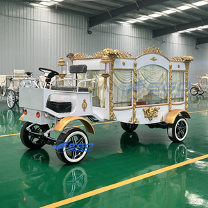 รถศพไฟฟ้า ราคาโรงงาน รถพิธีศพไฟฟ้า รถขนส่งพิเศษสำหรับงานศพ - Product Image 4
