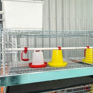 Cage de couvaison pour poussins, équipement d'élevage avicole, cage <span class=keywords><strong>à</strong></span> batterie de type H <span class=keywords><strong>à</strong></span> 3 niveaux et 2 portes, <span class=keywords><strong>à</strong></span> <span class=keywords><strong>vendre</strong></span> - Product Image 3