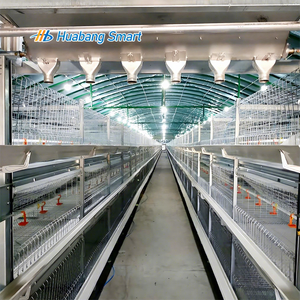 <span class=keywords><strong>Cage</strong></span> à poulets entièrement automatique, dernière génération, best-seller, garantie d'un an, grande capacité, gain de place - Product Image 1