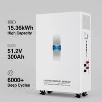 Sistem Penyimpanan Energi Surya Baterai LiFePO4 51.2V 300Ah 15kWh, Stasiun Daya Cadangan Rumah, Solusi UPS Terpisah yang Dipasang di Dinding, Pro