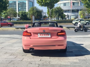 Un'auto sportiva convertibile di seconda mano di alta qualità e conveniente della serie 2 2019 2 serie 220i - Product Image 5