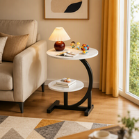 Table basse ronde moderne, portable et durable, avec rangement, table d'appoint compacte à double niveau, structure en acier carbone et plateau en bois