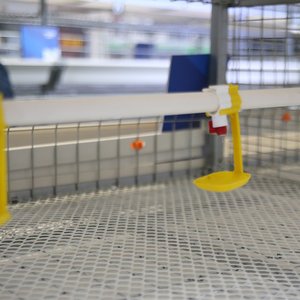 Jaula Multifuncional para Cría de Pollos, Jaula para Gallinas Ponedoras/Hueveras Tipo H de 4 Niveles, Jaula Automática para Pollos con Línea de Alimentación - Product Image 5