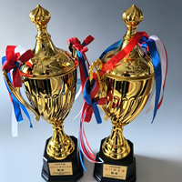 Trophée Métallique Personnalisé pour Compétition Sportive, Récompense d'Entreprise, Souvenir de Cérémonie