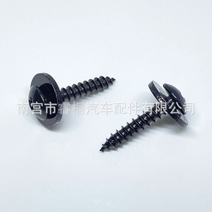 Vis autotaraudeuse à tête ronde Phillips Shuangxuan M4x21 avec rondelle en acier, usage général - Product Image 2