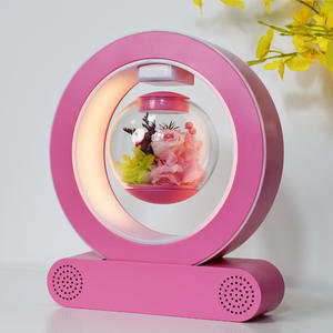 هدية يدوية رومانسية مغناطيسية للرفع هدية إبداعية بالبلوتوث لترويج الأعمال في عيد الحب - Product Image 2