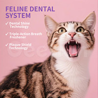 Compléments alimentaires naturels en poudre pour animaux de compagnie, fabriqués en usine OEM, contrôle enzymatique de la plaque dentaire, soutien respiratoire frais, booster probiotique vivant pour chats
