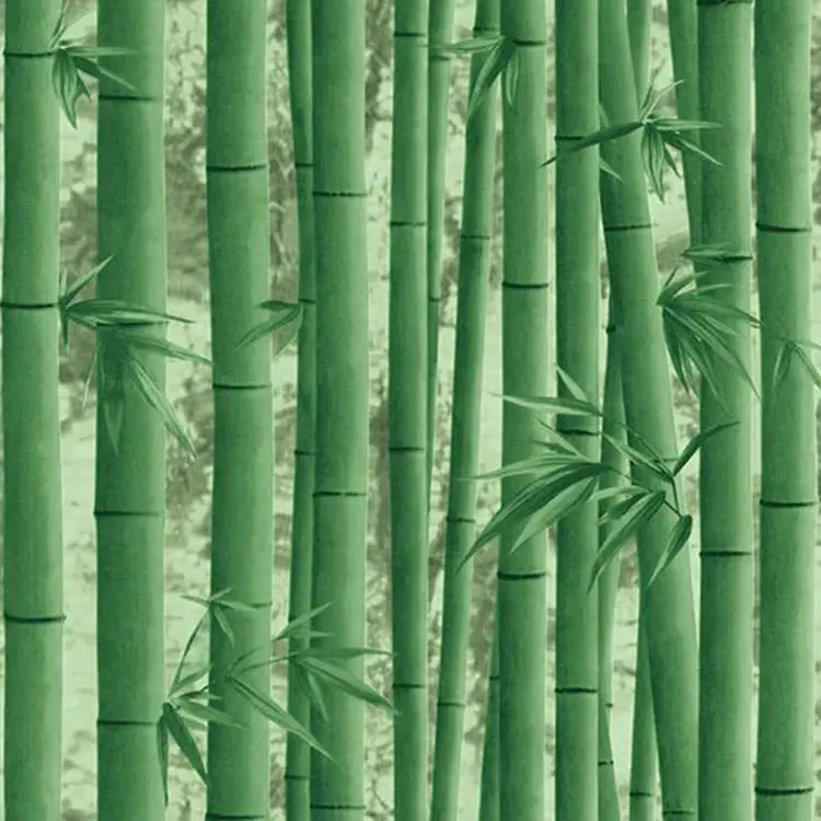 Modern sadelik taze stil yeşil bambu orman duvar kağıdı pvc duvar kağıdı dekorasyon