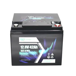 EU Bestseller Blei Säure Ersatz Solar RV Marine 12V 42Ah 54Ah 100Ah 150Ah LiFePO4 Lithium-Ionen-Batterie