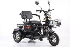 Vehículo Eléctrico de Tres Ruedas con Pedales para Adultos, Personas Mayores y Transporte Familiar, con Asientos Cómodos y una Cesta Trasera - Product Image 4