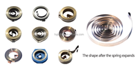 Ressort de torsion plat en spirale de précision en acier inoxydable 304 sur mesure OEM pour mécanisme à force constante industriel