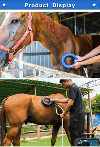 Nuevas Ideas de Negocios 2026: Manta PEMF para Caballos - Product Image 4