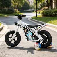 Moto cross électrique pour enfants certifiée CE, batterie lithium 24V, avec contrôle de vitesse réglable, pour le plaisir des enfants dans la cour.