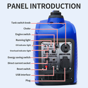 Nieuwland 2000W Draagbare Benzine <span class=keywords><strong>Generator</strong></span> Met Hoge Power Terugslag Start 220V Automatisering Apparatuur Geschikte Motor - Product Image 4